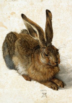 Puzzle Albrecht Dürer - Le Lapin