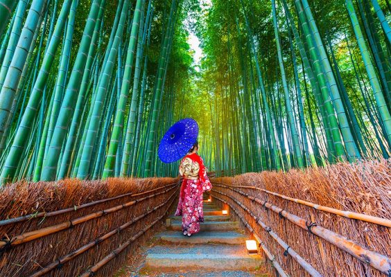 Puzzle Asian Woman in Bamboo Forest Enjoy Puzzle