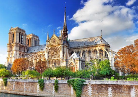 Puzzle Cathédrale Notre-Dame de Paris Bluebird Puzzle