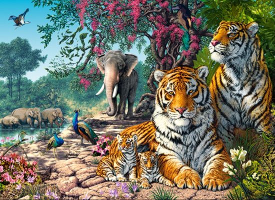 Puzzle Sanctuaire des Tigres Castorland