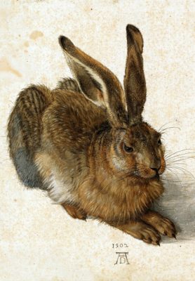 Puzzle Albrecht Dürer - Le Lapin