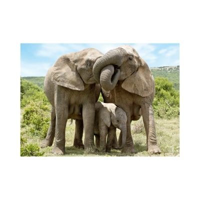 Puzzle Famille d'Eléphants Dino