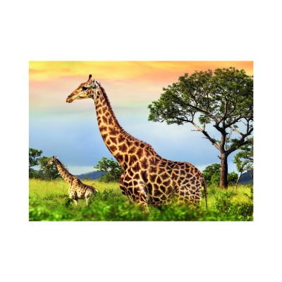 Puzzle Famille Girafe Dino