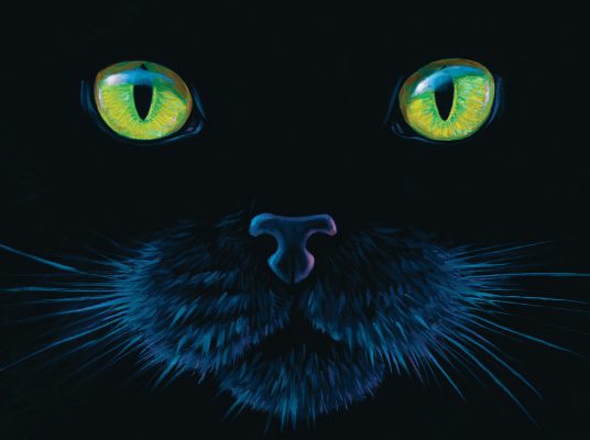 Puzzle Charles Lynn Bragg - Black Cat SunsOut