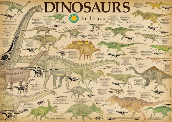 Puzzle Dinosaures Aquarius