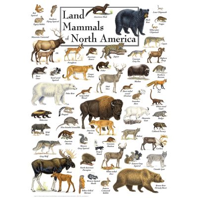 Puzzle Land Mammals of North America Master Pieces