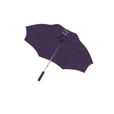 parapluie-passage-du-desir