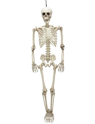 Squelette articulé 90 cm Halloween
